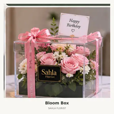 Bloom Box Panam
